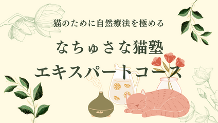 Product image for なちゅさな猫塾・エキスパートコース：プロトタイプ
