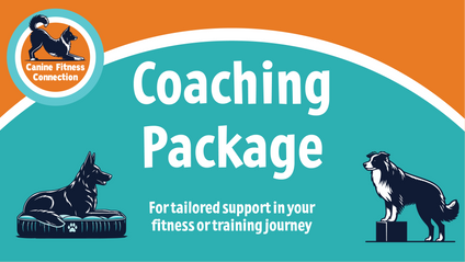 Product image for 1-2-1 Online Coaching