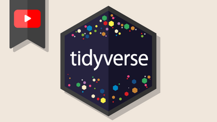 Product image for tidyverse 마스터 클래스