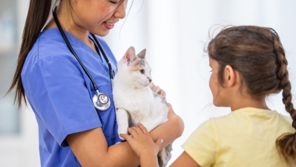 Product image for Zoonotic diseases and pet cats