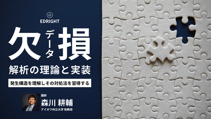 Product image for 欠損データ解析の理論と実装