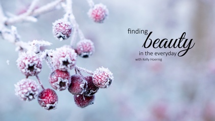 Product image for Finding Beauty Winter