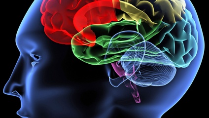 Product image for Live Right For Your Brain Type