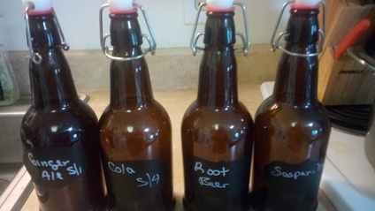 Product image for Fermentation 101