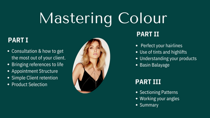 Product image for Mastering Colour: Blonde/lightning Techniques