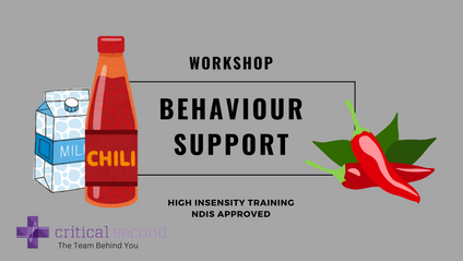 Product image for Behaviour Support