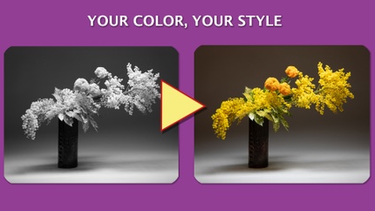 Product image for YOUR COLOR, YOUR STYLE