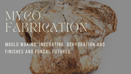 Product image for Fungal Futures: Fabrication and Innovation 