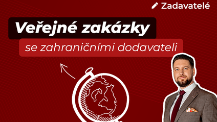Product image for Veřejné zakázky se zahraničními dodavateli