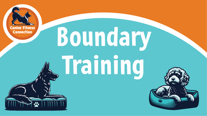Product image for Boundaries Bonanza!
