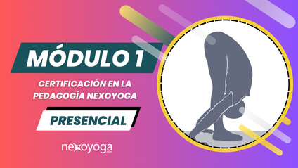 Product image for *CERTIFICACIÓN* MÓDULO 1 "PRESENCIAL" - Formación en la Pedagogía Nexoyoga - (72 horas)