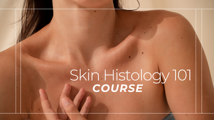 Product image for Skin Histology 101