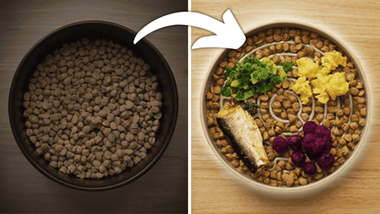 Product image for How to Upgrade Your Dog's Kibble