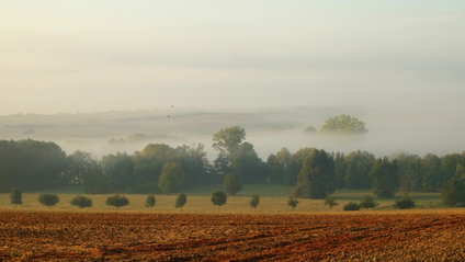 Product image for Return to Your Natural Colours: Soft Autumn (3rd Ed.)