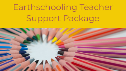 Product image for Waldorf Teacher Course: Waldorf Teacher Support Package
