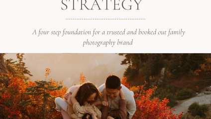 Product image for Four Step Marketing Strategy for Family Photographers