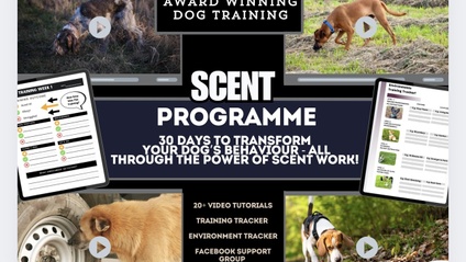 Product image for Scent Work