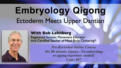 Product image for Embryology Qigong: Ectoderm Meets Upper Dantian