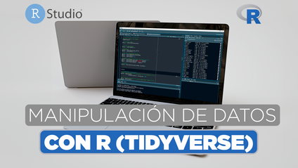 Product image for Manipulación de Datos con R (Tidyverse)