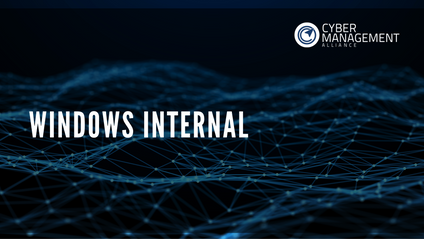 Product image for Windows Internal