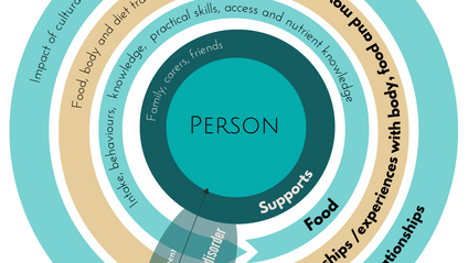 Product image for Radical Client Centred Framework 2025 Review 