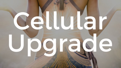 Product image for Physical Upgrade & DNA Activation