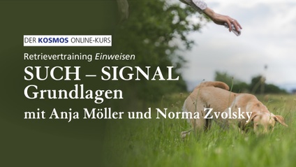 Product image for Retrievertraining EINWEISEN | Such-Signal Grundlagen