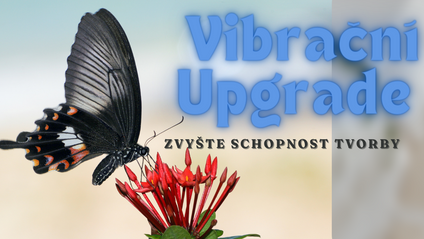 Product image for Vibrační Upgrade