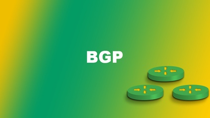 Product image for Border Gateway Protocol*