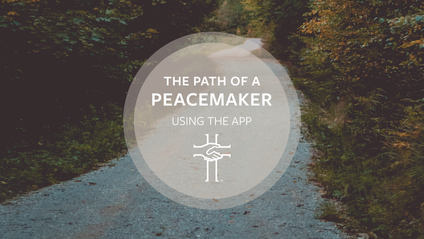 Product image for Path of a Peacemaker App Training