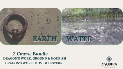 Product image for Dragon's Work 2 Course Bundle