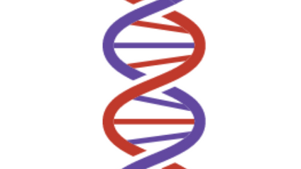 Product image for Leadership Chromosome Leadership Success Accelerator