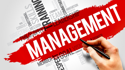 Product image for Management Foundation