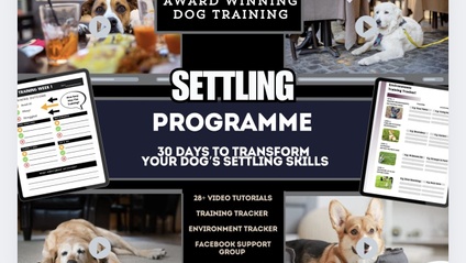 Product image for Settling Programme