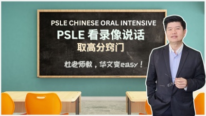 Product image for PSLE CHINESE LANGUAGE ORAL INTENSIVE
