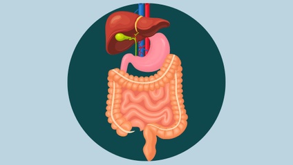 Product image for MS – Gastrointestinal