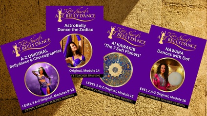 Product image for LEVEL 2: A-Z Original "Infinite Pathways" Teacher Training 