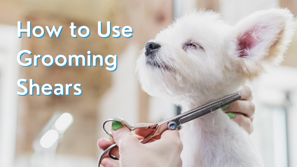 Product image for How to Use Grooming Shears