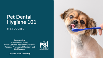 Product image for Mini Course: Pet Dental Hygiene 101