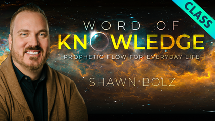 Product image for Word of Knowledge!
