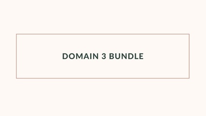 Product image for Domain 3 Bundle