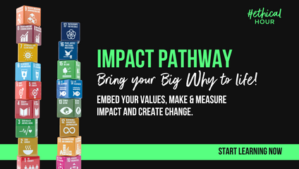 Product image for Impact Pathway