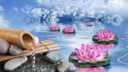 Product image for The 4A Stress Mastery Method