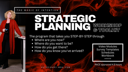 Product image for Strategic Planning - CE APPROVED