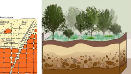 Product image for How does the thin near surface of the earth produce up to 100 times more noise on land seismic data than on marine data?