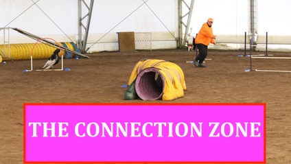 Product image for The Connection Zone