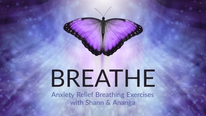 Product image for Breathe - Anxiety Relief Breathing Exercises