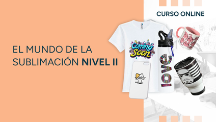 Product image for El mundo de la sublimación nivel II