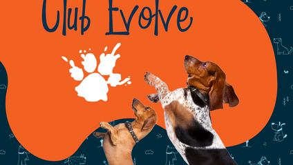 Product image for Club Evolve - Instructor Version