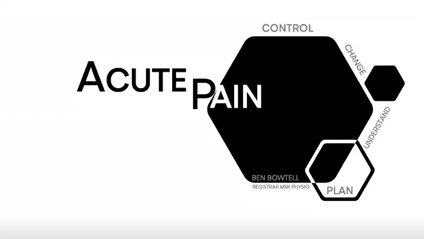 Product image for Acute pain management